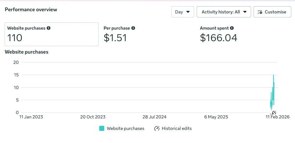 Meta Ads Manager performance overview showing 110 website purchases